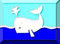 Prawdziwa banderka Białego Wieloryba